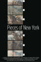 Nerea Moreno Pieces of New York
