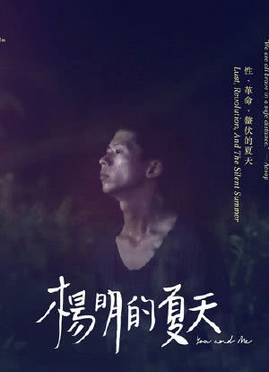 杨明的夏天海报封面图
