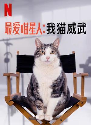 最爱喵星人：我猫威武海报封面图