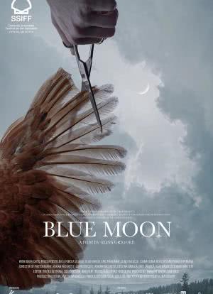 蓝月亮海报封面图
