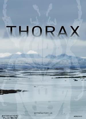 Thorax海报封面图