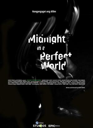 午夜中的完美世界海报封面图