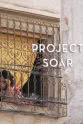 玛丽·兰伯特 Project Soar