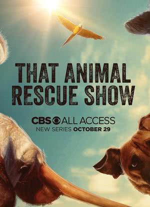 That Animal Rescue Show海报封面图