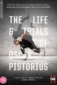 丹尼尔·戈登 The Trials of Oscar Pistorius