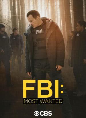 联邦调查局：通缉要犯 第二季海报封面图
