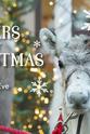 李·菲利普斯 驯鹿宝宝的第一个圣诞节 第一季