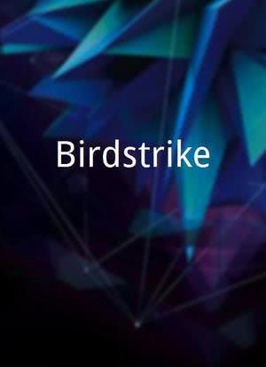 Birdstrike海报封面图