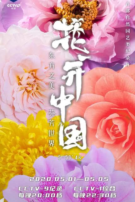 《花开中国》在线观看
