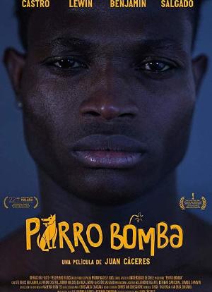 Perro Bomba海报封面图