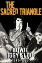 Victor Bockris Bowie, Iggy & Lou 1971-1973: The Sacred Triangle