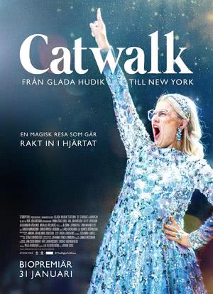 Catwalk - från Glada Hudik till New York海报封面图