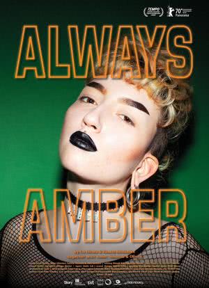 Always Amber海报封面图