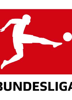 德甲联赛2008-2009赛季海报封面图
