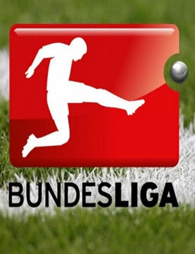 2007-2008赛季 德国足球甲级联赛海报封面图
