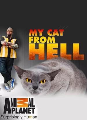 家有恶猫 第七季海报封面图