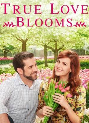True Love Blooms海报封面图
