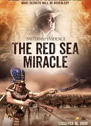 Patterns of the Evidence: The Red Sea Miracle海报封面图