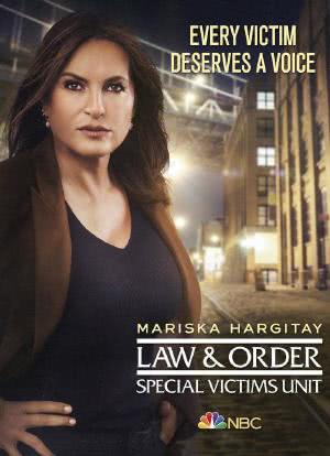 法律与秩序：特殊受害者 第二十二季海报封面图