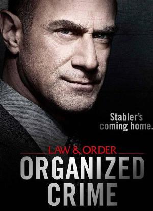 法律与秩序：组织犯罪 第一季海报封面图