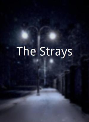 The Strays海报封面图