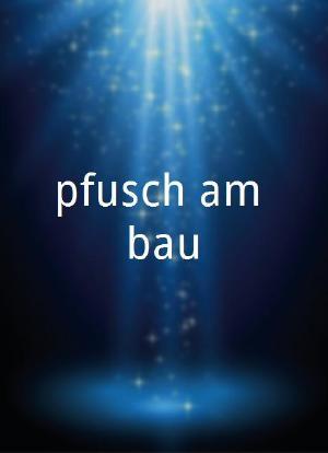 pfusch am bau海报封面图