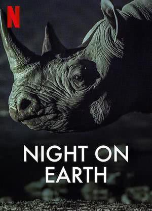 地球的夜晚海报封面图