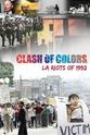 迈克尔·沃尔 肤色冲突：1992年洛杉矶暴动