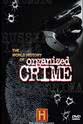 Scott Alexander The World History of Organized Crime Season 1