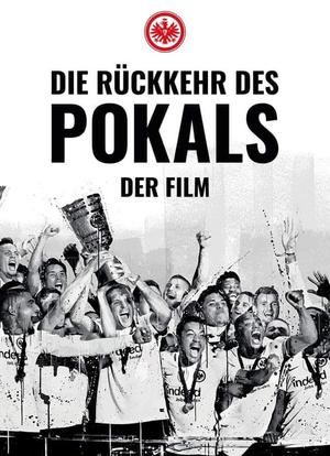 法兰克福德国杯夺冠奇迹海报封面图