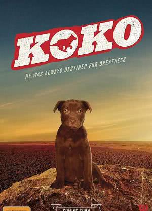 Koko:红犬历险记海报封面图