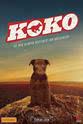 萨拉·伍兹 Koko:红犬历险记