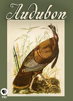 Audubon海报封面图