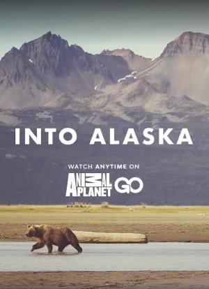 Into.Alaska海报封面图