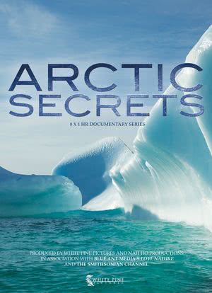 北极解密 第一季海报封面图