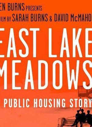 东湖草地：一个关于公共住房的故事海报封面图