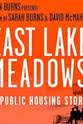 莎拉·伯恩斯 东湖草地：一个关于公共住房的故事