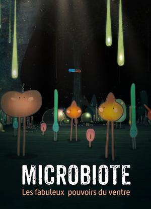 菌群，肚子的神奇魔法海报封面图