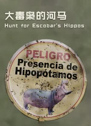 The Hunt for Escobar's Hippos海报封面图