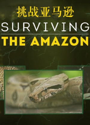 挑战亚马逊 第一季海报封面图