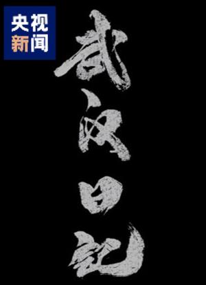 武汉日记海报封面图