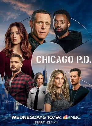 芝加哥警署 第八季海报封面图