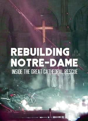 古教堂大救援：争分夺秒拯救巴黎圣母院海报封面图