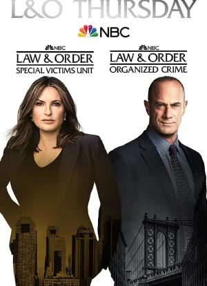 法律与秩序：特殊受害者 第二十三季海报封面图