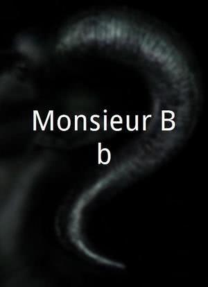 Monsieur Bébé海报封面图
