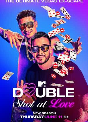 Double Shot at Love with DJ Pauly D & Vinny海报封面图