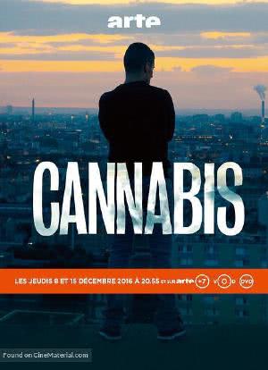 大麻 第一季海报封面图