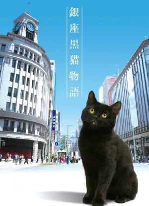 银座黑猫物语海报封面图