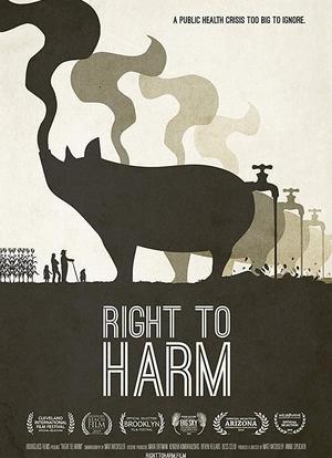Right to Harm海报封面图
