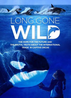 Long Gone Wild海报封面图